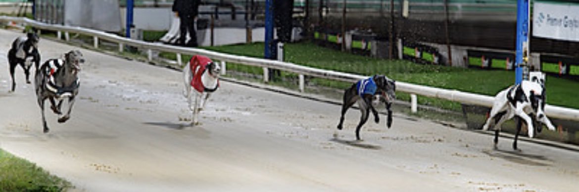 Coppice Racing Kennels's banner