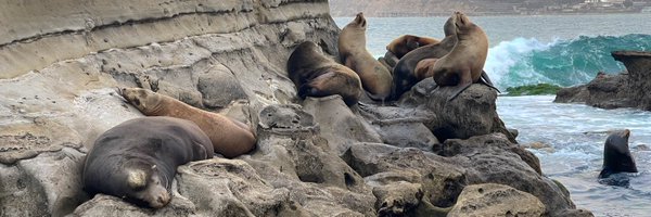 SongsByHamilton Profile Banner