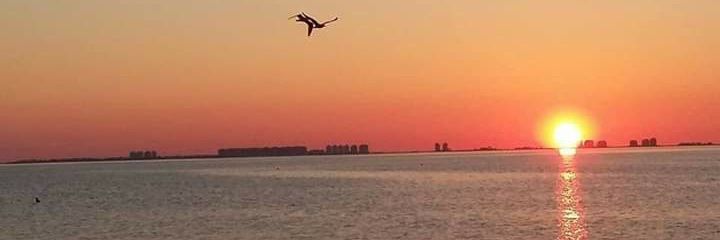 Puri García 🍏 Escuela pública banner