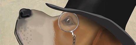 ARandomBeagle's profile banner image