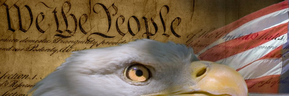 PetPolitico's profile banner image