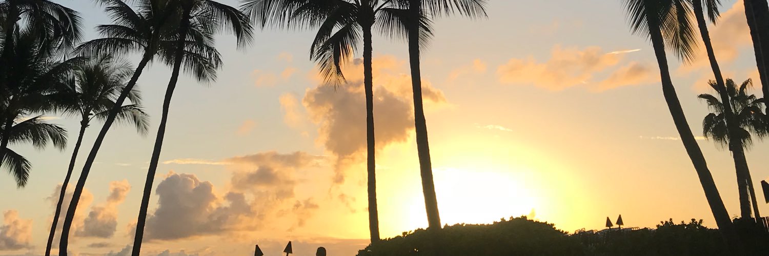 halelujah33's profile banner image
