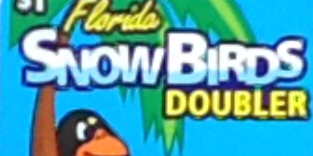 SnowbirdsF's profile banner image