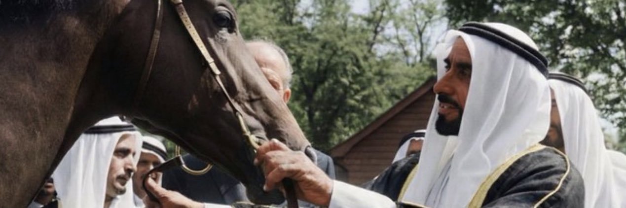 🇦🇪علي banner