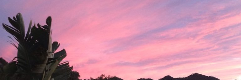 vickylyon701D's profile banner image