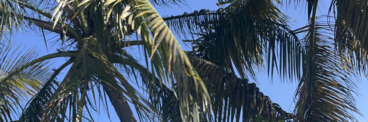 JulienZano's profile banner image