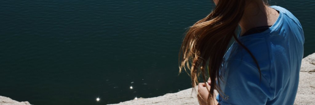 Annelyse banner