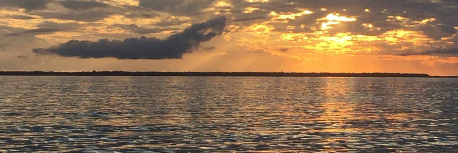 SraAHughes's profile banner image