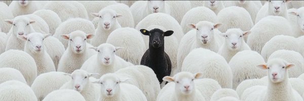 Vinnie_2027 Profile Banner