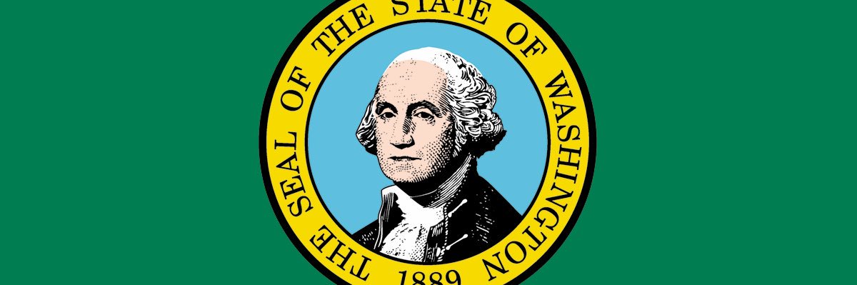 Washington The 42nd State's banner