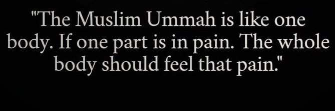 Marmaduke 🇵🇸🔻🇱🇧 banner