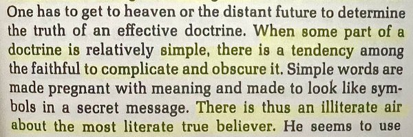 foolmealex Profile Banner