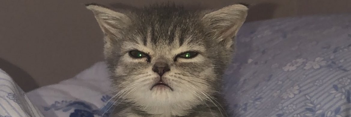 mcemilsonmez's profile banner image