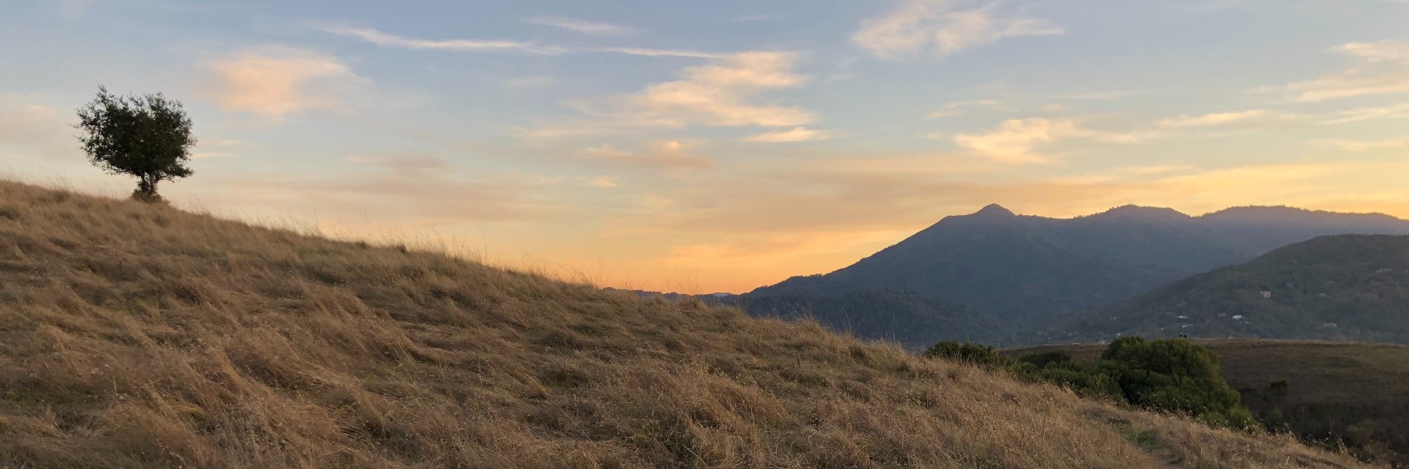 Mark Strassman banner