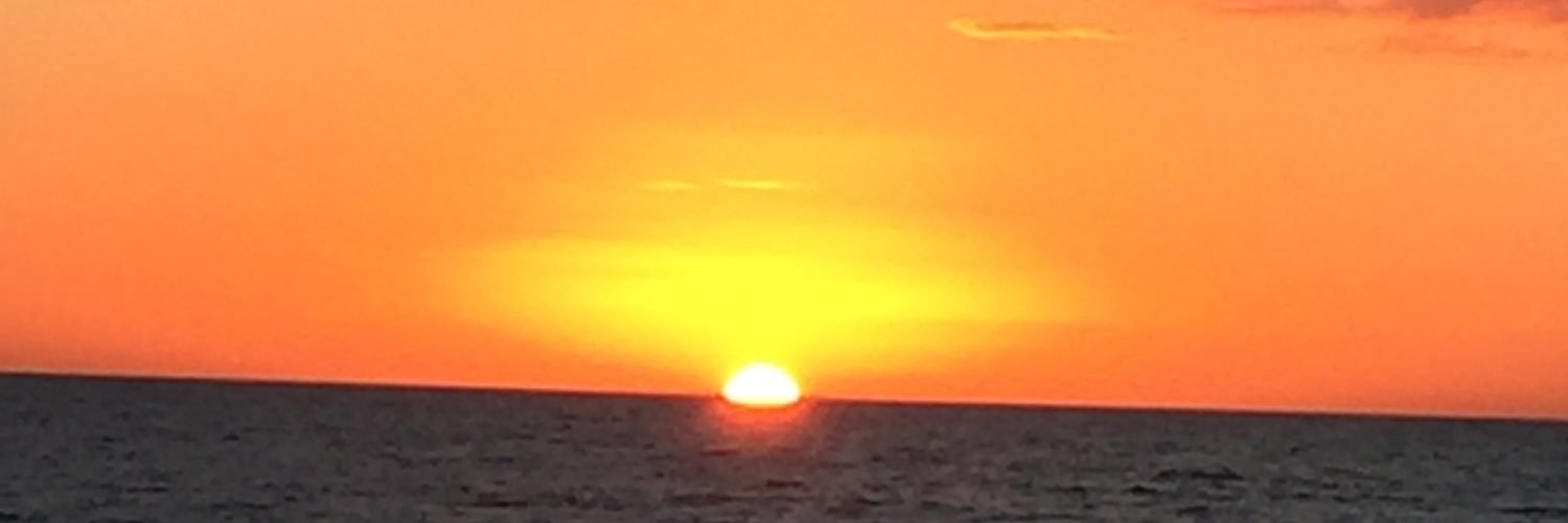 Keri Collins banner