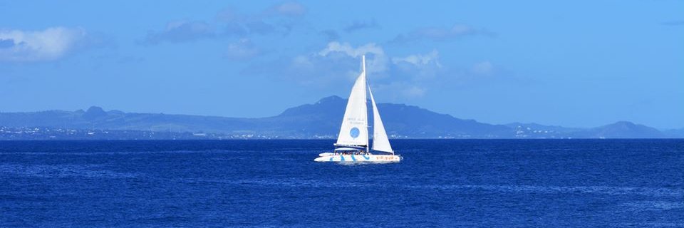 infinitiblu's profile banner image