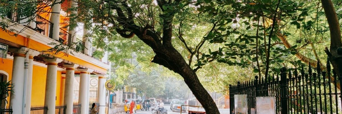 Itsravipratap's profile banner image