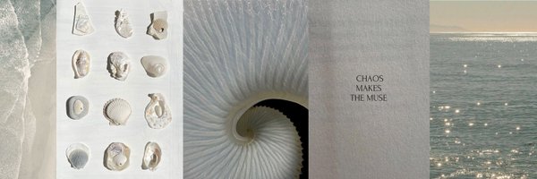 wildbarestepf Profile Banner