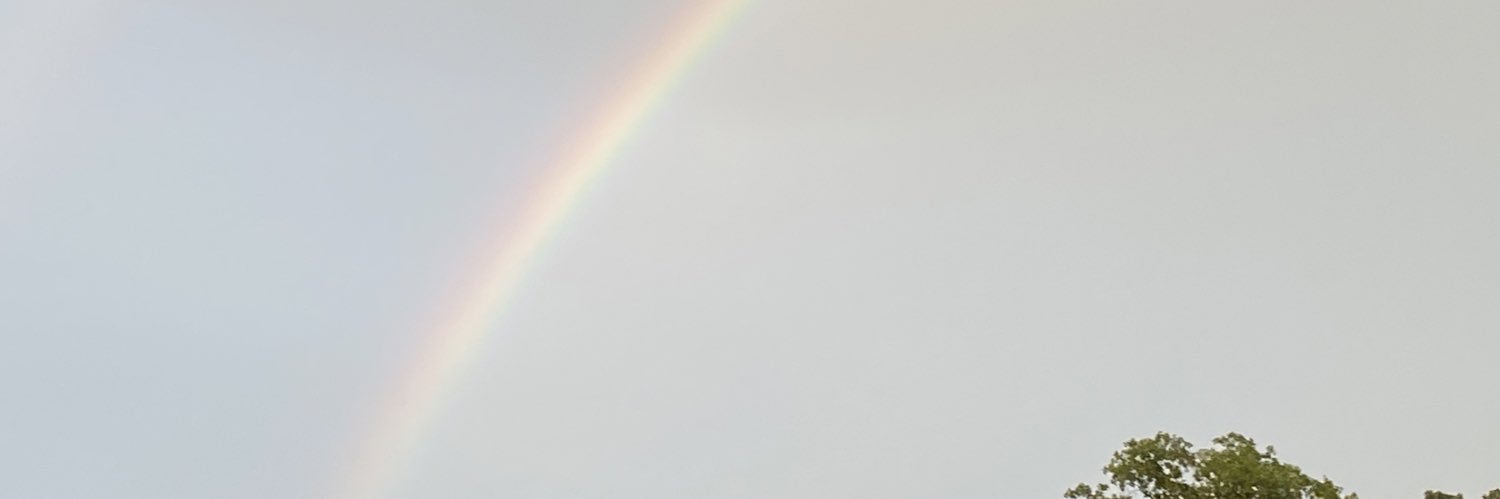 berrycoolharry's profile banner image