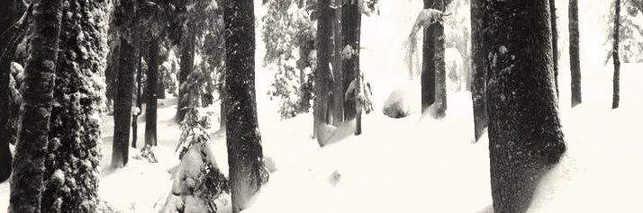 ( ´ㅅ`)；　ame banner