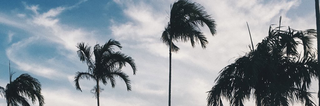 anicole_g's profile banner image