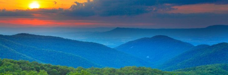 Randall Bissette banner