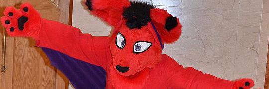 SquirrelHarvey's profile banner image