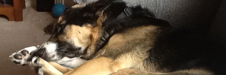 William McCall banner