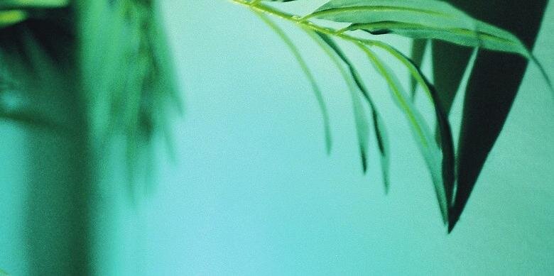 Sintuce's profile banner image