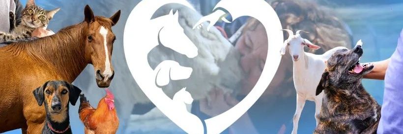 garranimal's profile banner image