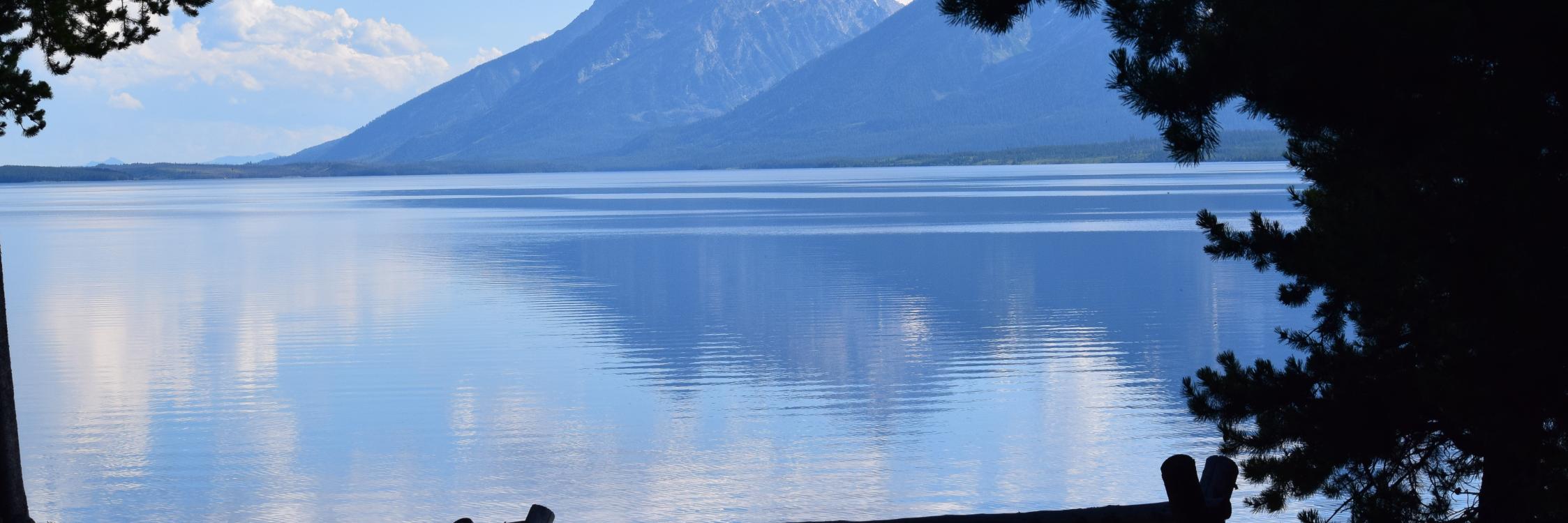 Jennifer Graves banner