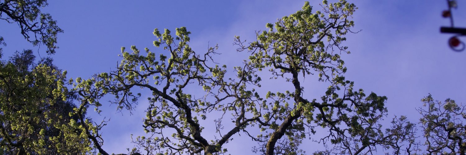 moimogg's profile banner image