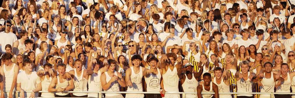 Dragon Nation banner