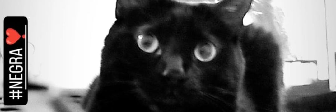 SnchezJaqui's profile banner image