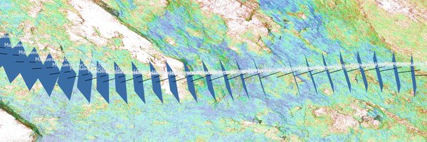 ThomasBordeaux7 Profile Banner