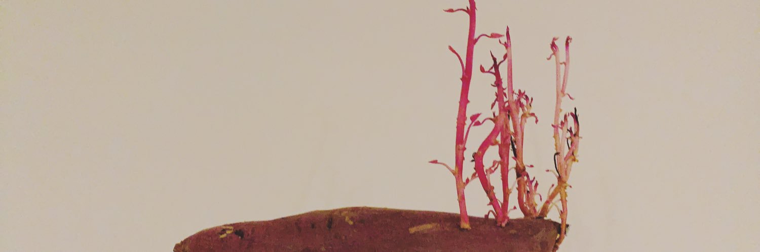 monkutarekun's profile banner image