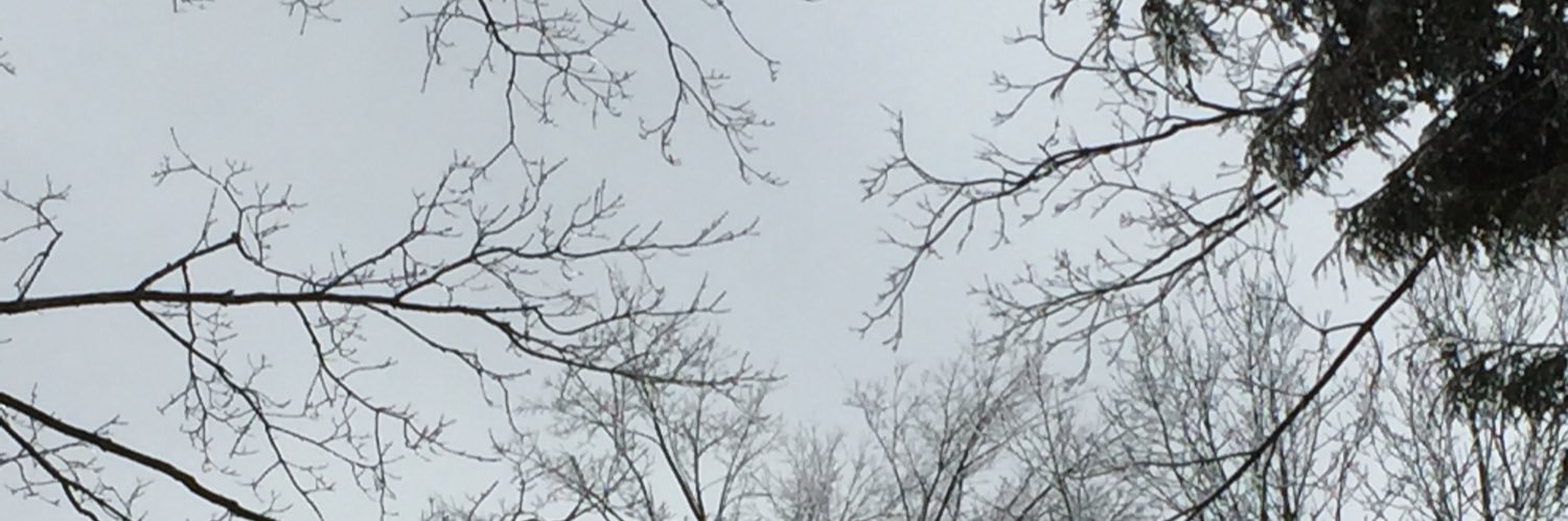 PunkReckless's profile banner image