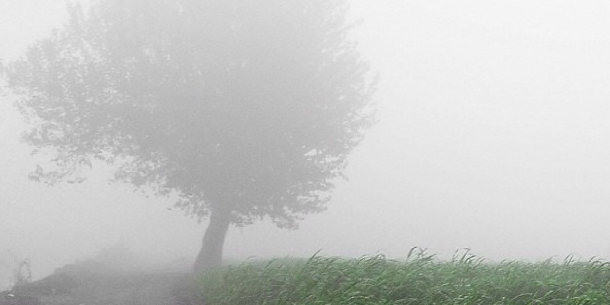fmfm220's profile banner image