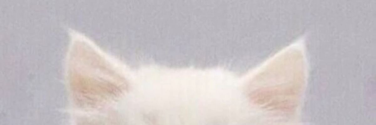 _cuteey's profile banner image