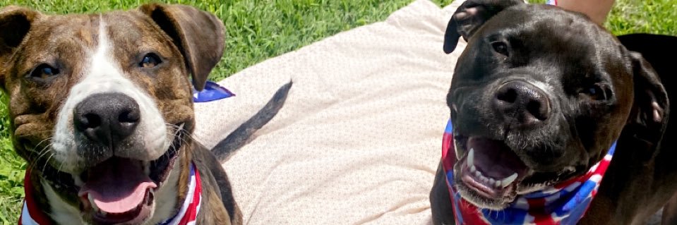 AddisonMcC_'s profile banner image