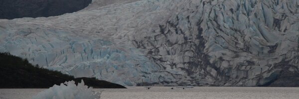 pankaj Profile Banner