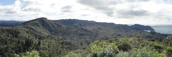 jonathanflowers Profile Banner