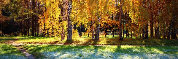 JadenCastry5618 Profile Banner