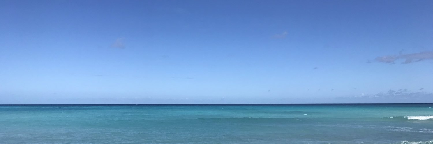 Magdadalena Balcells banner