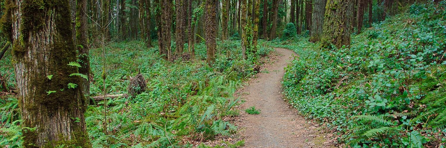 OregonRuns's profile banner image
