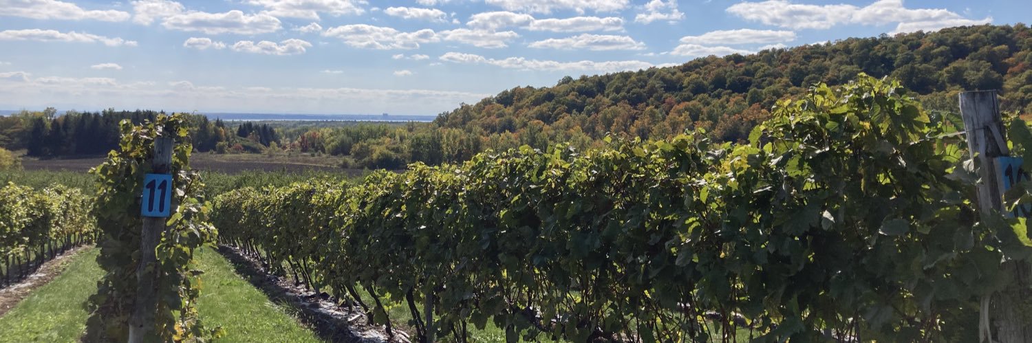 Andréanne Hébert-Haché banner