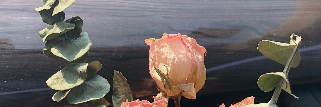 ayasharch's profile banner image