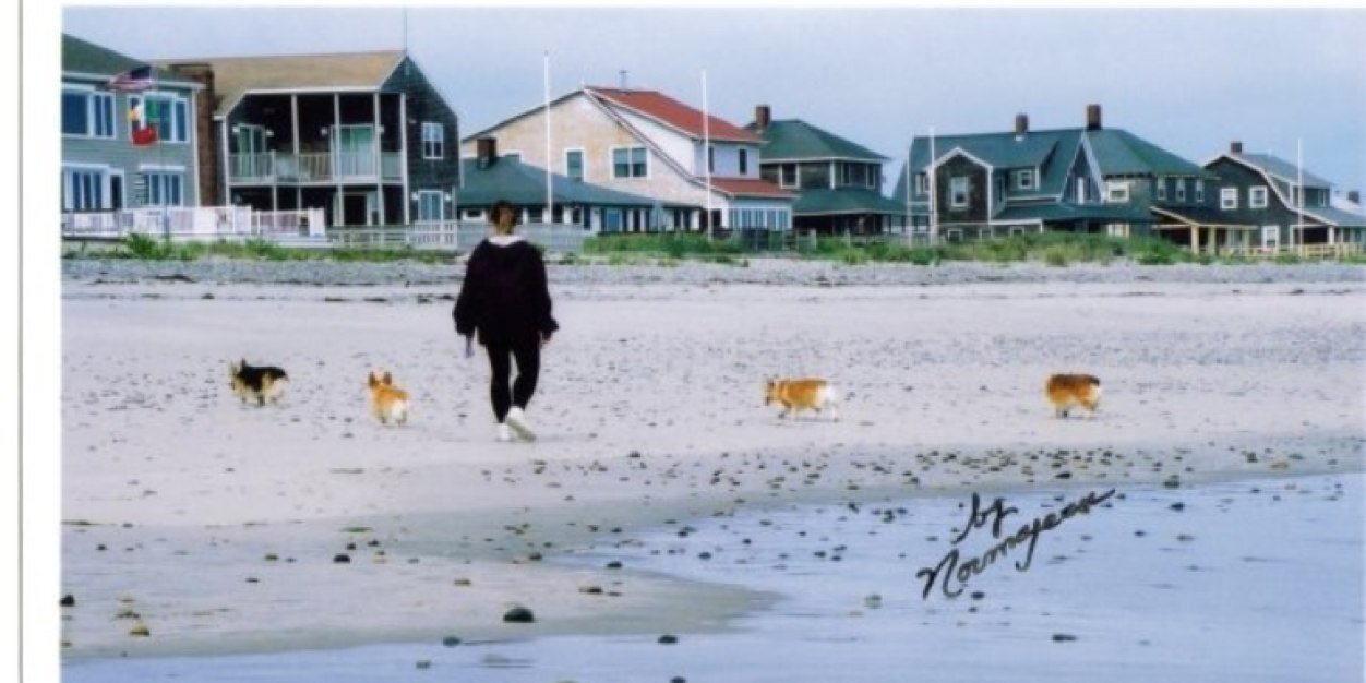 susanmgorman's profile banner image