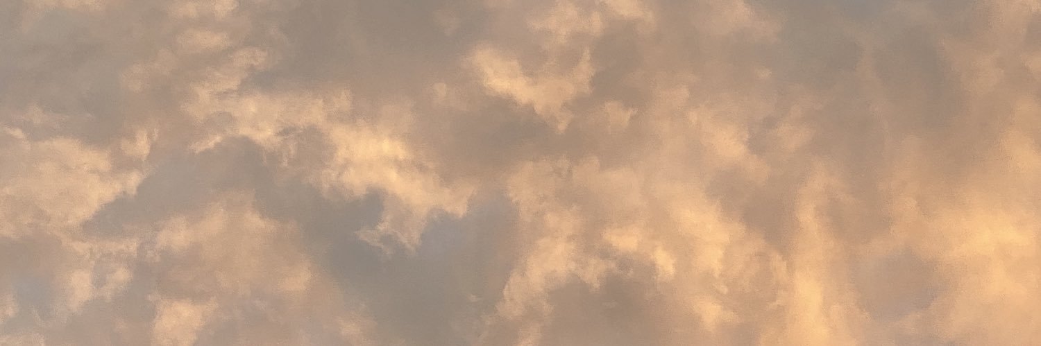 phlilis's profile banner image