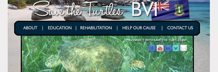 Save The Turtles BVI banner